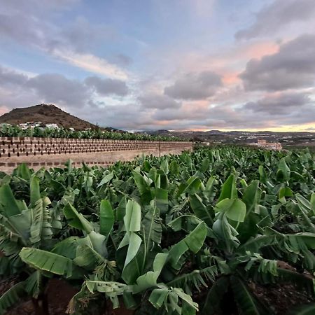 RK Hacienda La Rekompensa Arucas Bagian luar foto