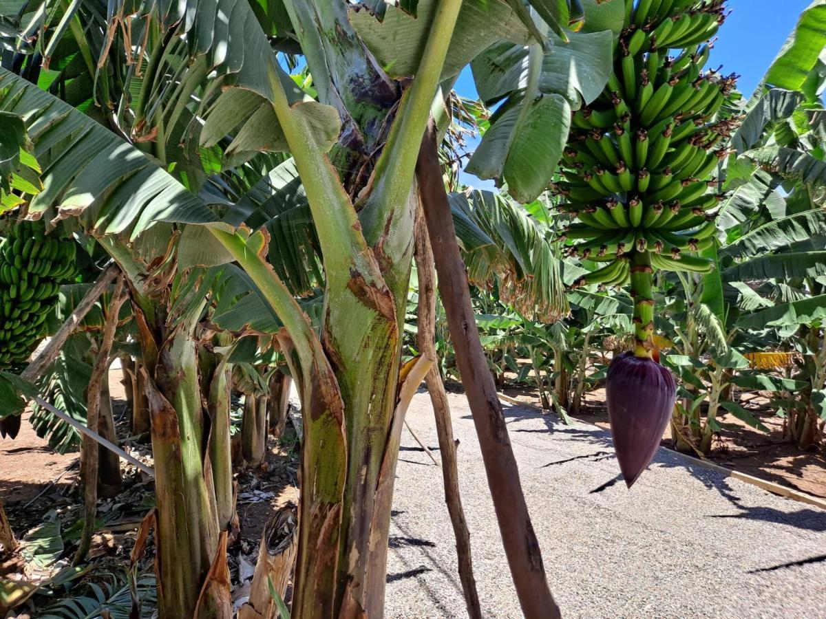 RK Hacienda La Rekompensa Arucas Bagian luar foto