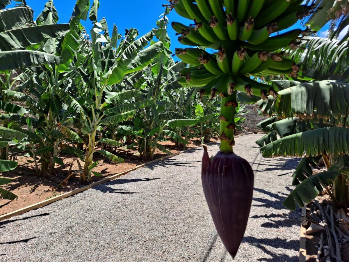 RK Hacienda La Rekompensa Arucas Bagian luar foto
