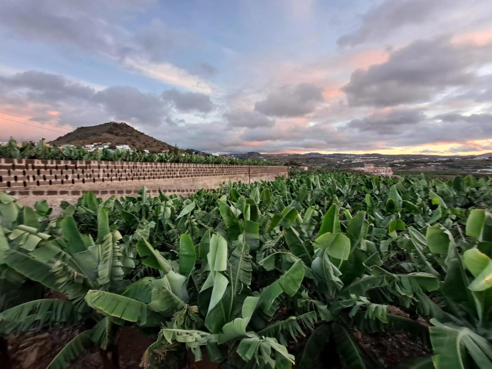 RK Hacienda La Rekompensa Arucas Bagian luar foto